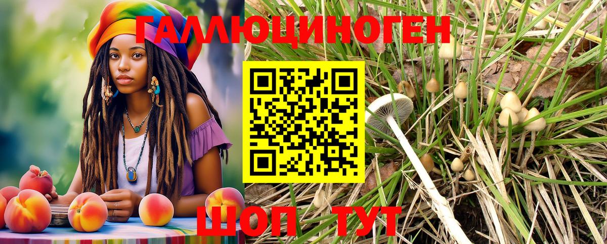 Псилоцибиновые грибы MAGIC MUSHROOMS Белореченск